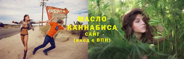 дживик Богородицк
