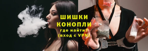 прущий лед Богданович