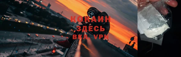 дживик Богородицк