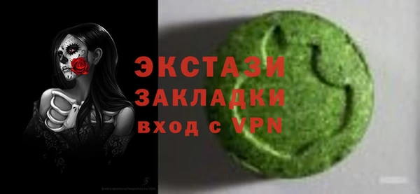 дживик Богородицк