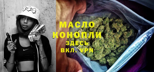 дживик Богородицк