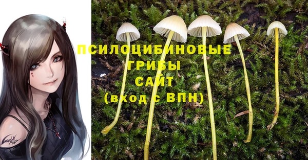 прущий лед Богданович