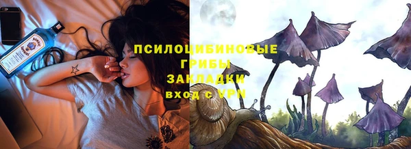 прущий лед Богданович