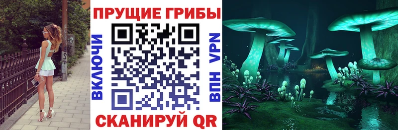 Псилоцибиновые грибы ЛСД  Михайлов 